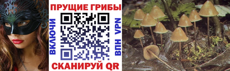цены   Свирск  Галлюциногенные грибы MAGIC MUSHROOMS 